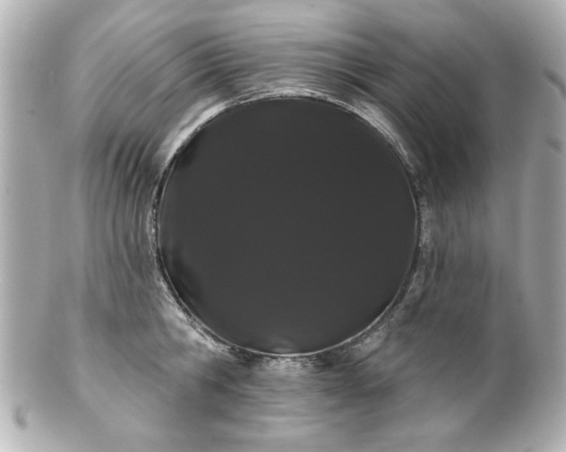 X0000100890806200807011155