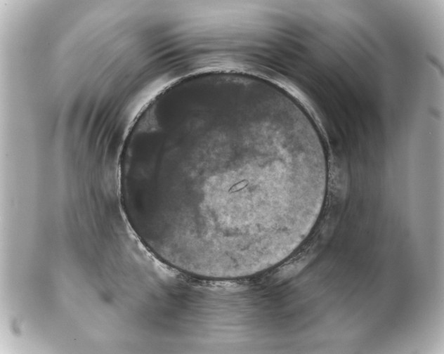 X0000100890807200807011155