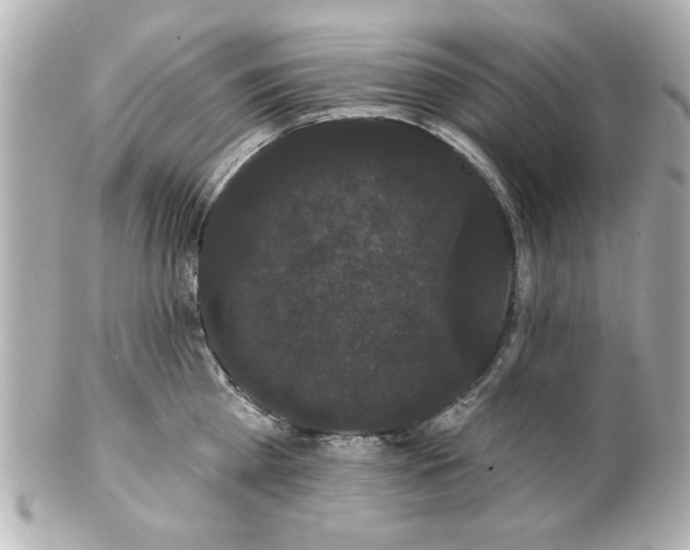 X0000100890809200807011155