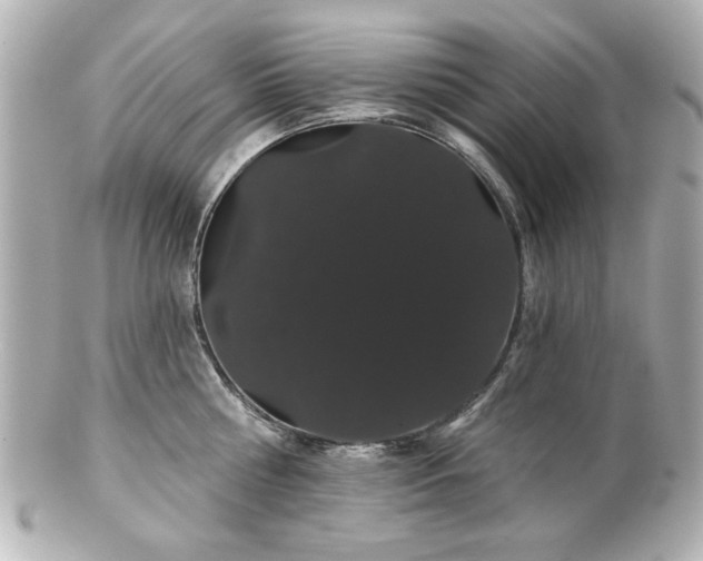 X0000100890810200807011155