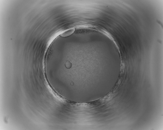 X0000100890811200807011155