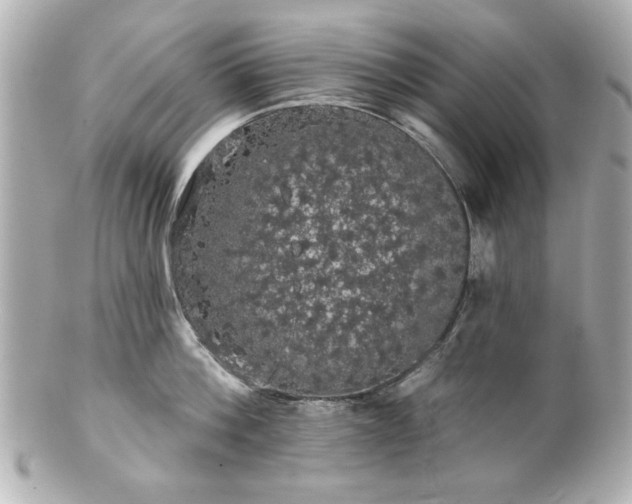 X0000100890812200807011155
