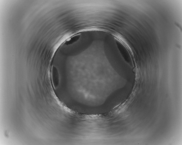 X0000100890813200807011155