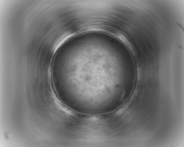X0000100890814200807011155