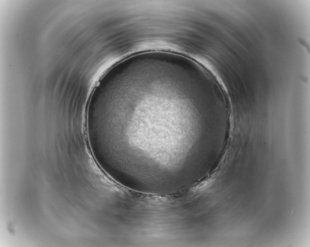 X0000100890815200807011155