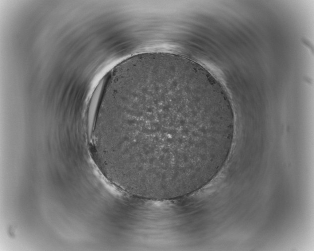 X0000100890816200807011155