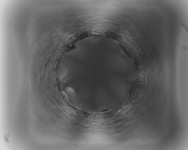 X0000100890817200807011155
