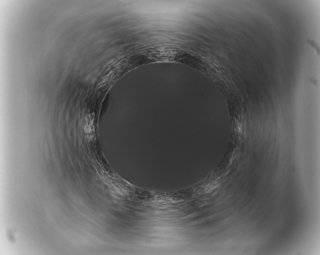X0000100890818200807011155