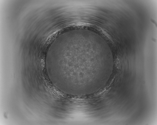 X0000100890821200807011155