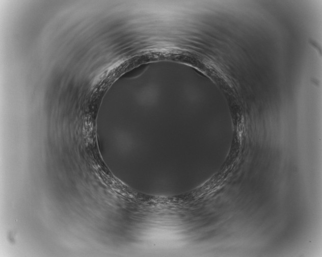 X0000100890822200807011155