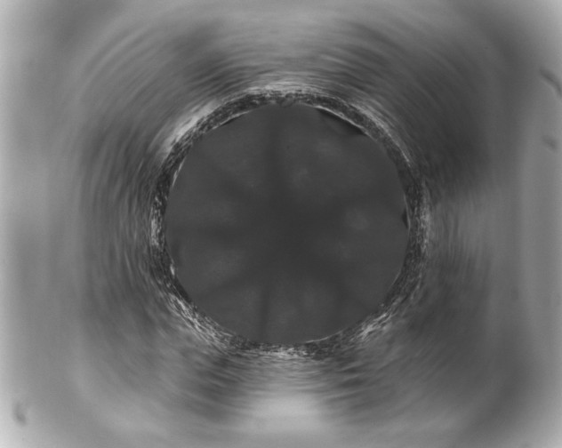 X0000100890823200807011155
