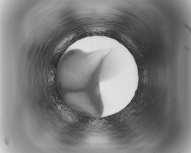 X0000100890824200807011155