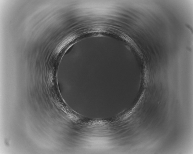 X0000100890826200807011155