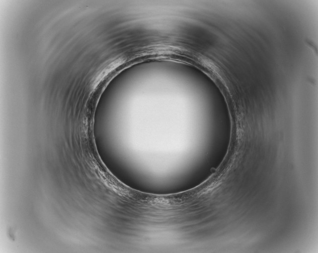 X0000100890827200807011155