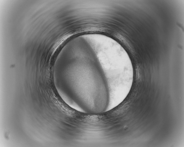 X0000100890828200807011155