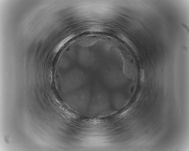 X0000100890829200807011155