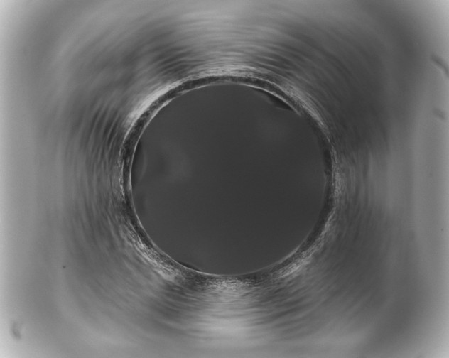 X0000100890830200807011155