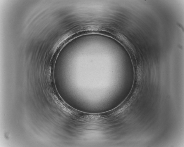 X0000100890831200807011155
