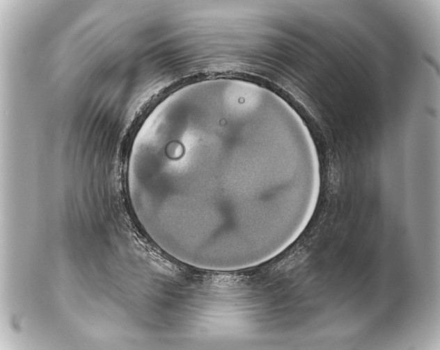X0000100890832200807011155