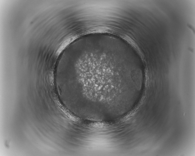X0000100890834200807011155