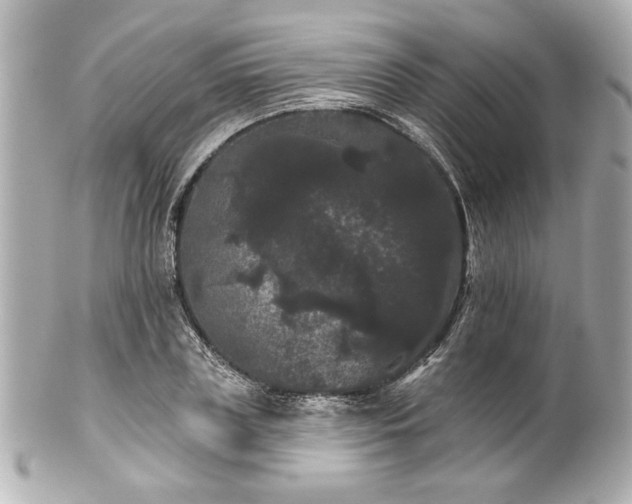 X0000100890835200807011155