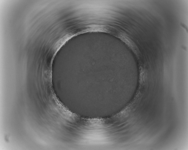 X0000100890836200807011155