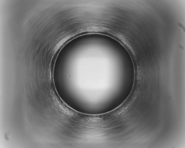 X0000100890837200807011155