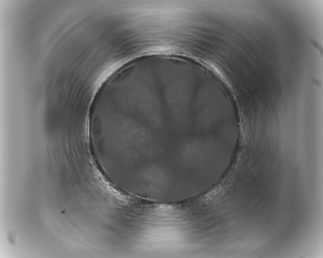 X0000100890839200807011155