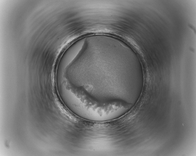 X0000100890840200807011155