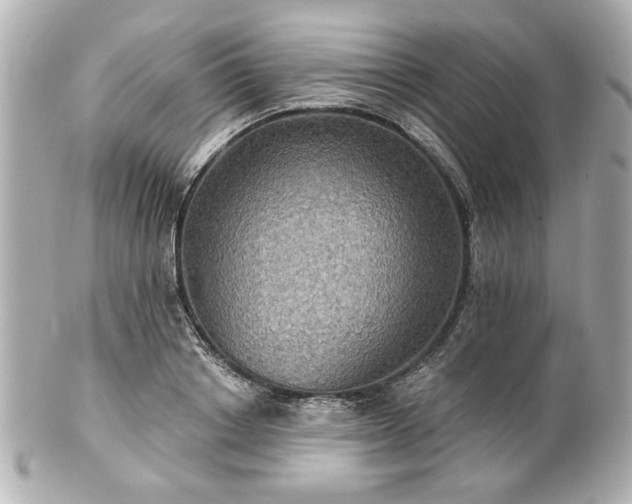 X0000100890842200807011155