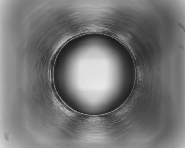 X0000100890843200807011155
