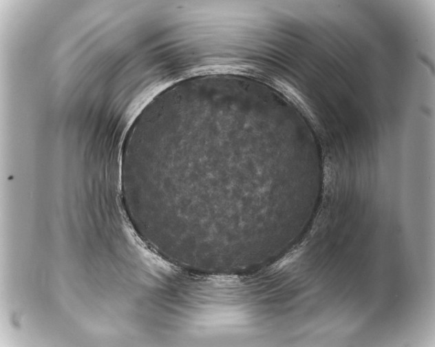 X0000100890844200807011155