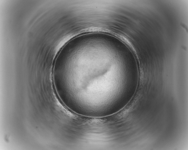 X0000100890847200807011155