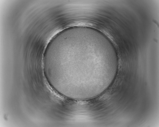 X0000100890848200807011155