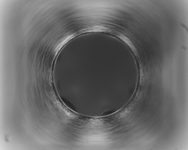 X0000100890850200807011155