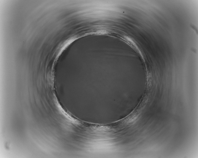 X0000100890851200807011155