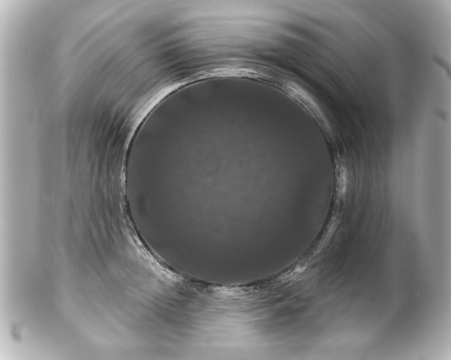 X0000100890852200807011155