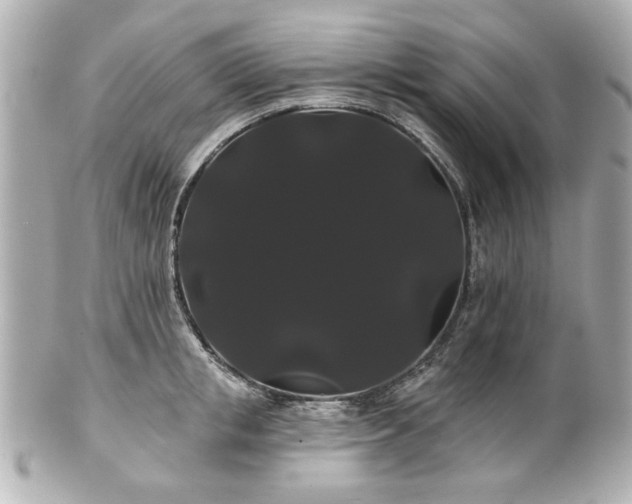 X0000100890853200807011155