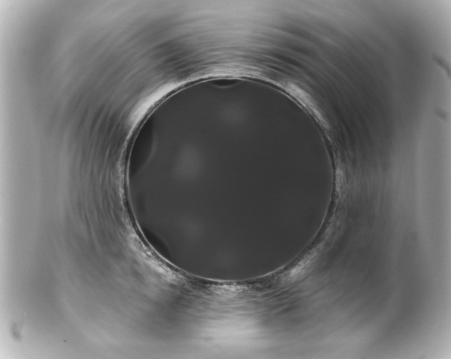 X0000100890854200807011155
