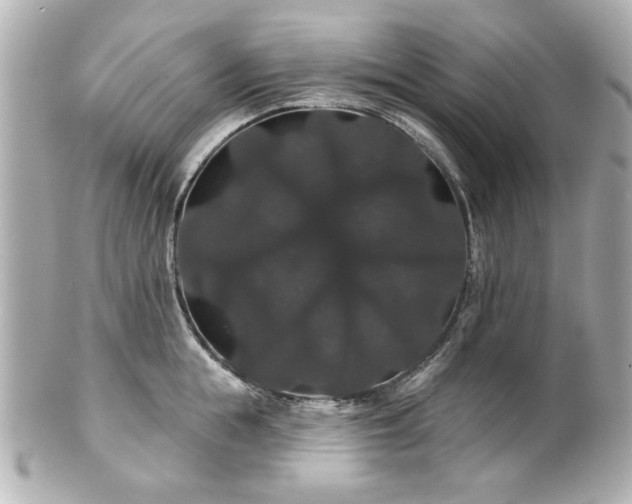 X0000100890855200807011155