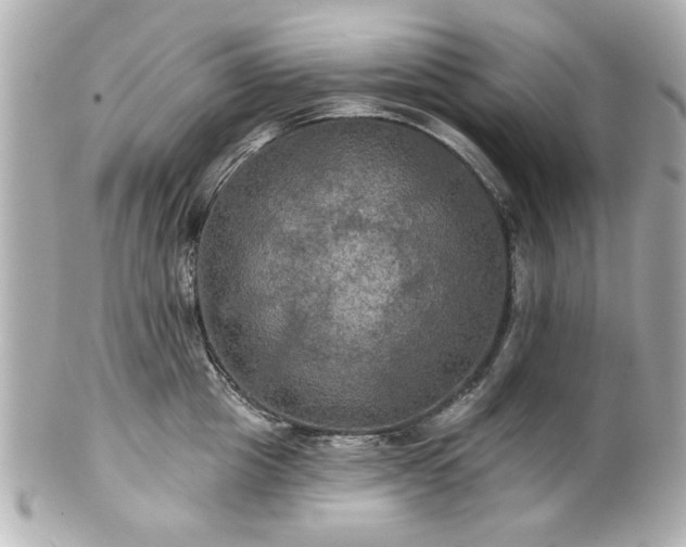 X0000100890857200807011155
