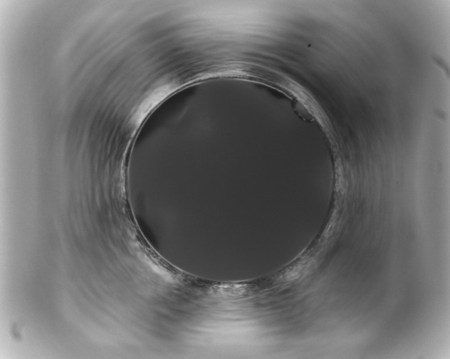X0000100890858200807011155