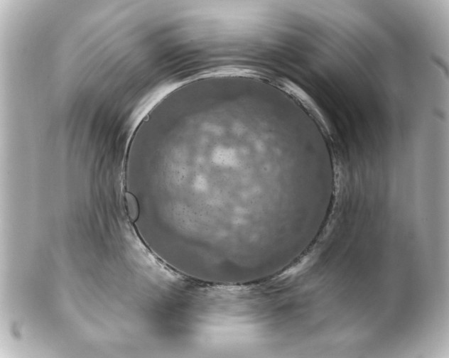 X0000100890860200807011155