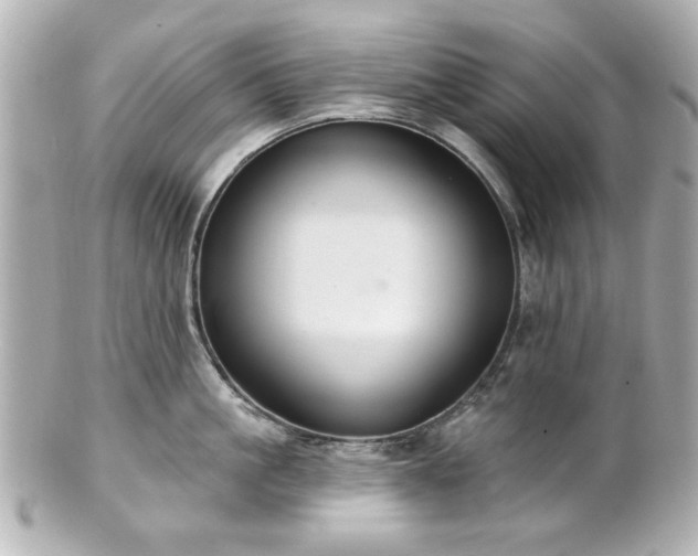 X0000100890861200807011155
