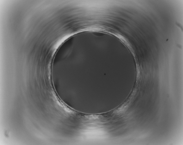 X0000100890862200807011155