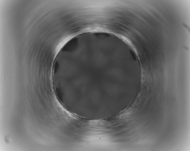 X0000100890863200807011155