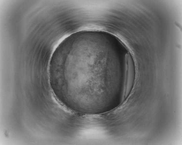 X0000100890864200807011155