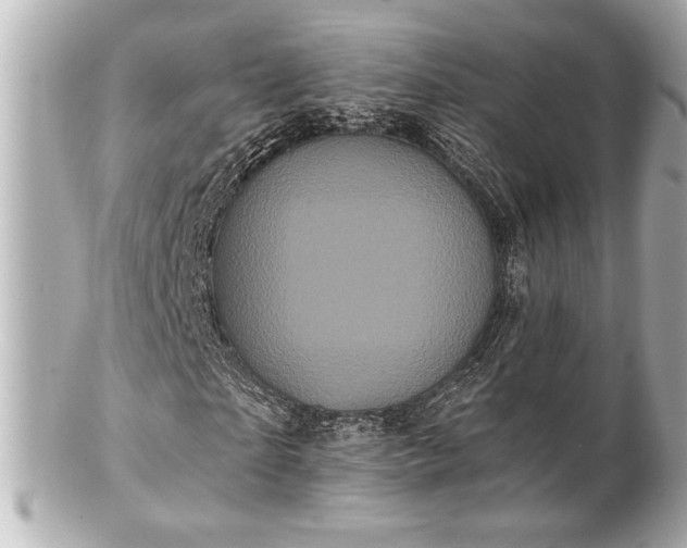 X0000100890865200807011155