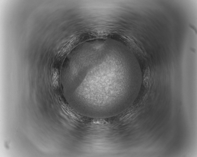 X0000100890866200807011154