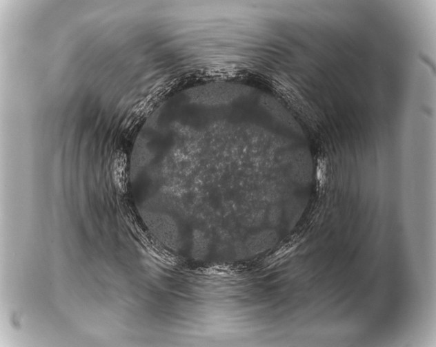 X0000100890867200807011154